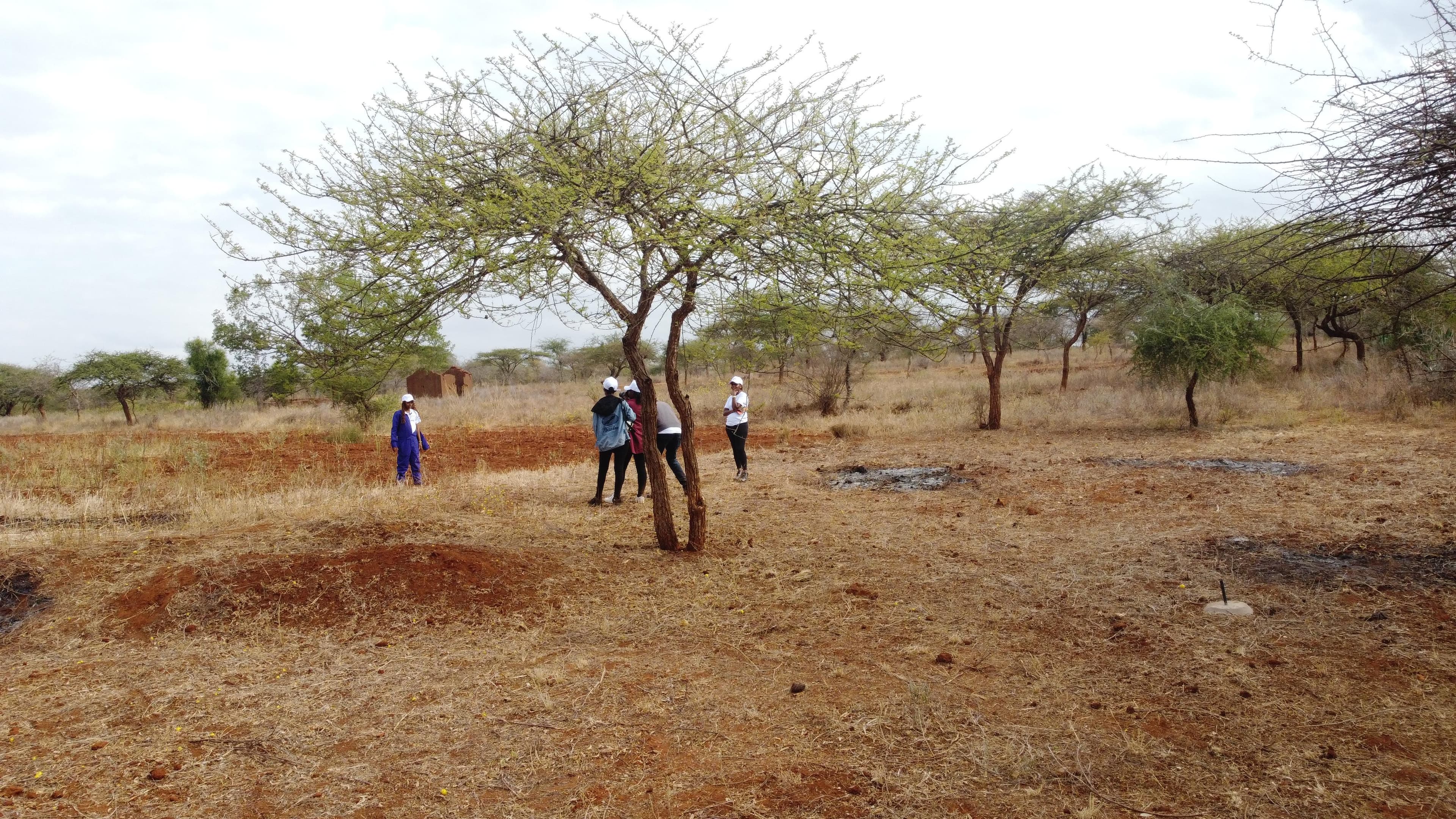 Transform Your Future